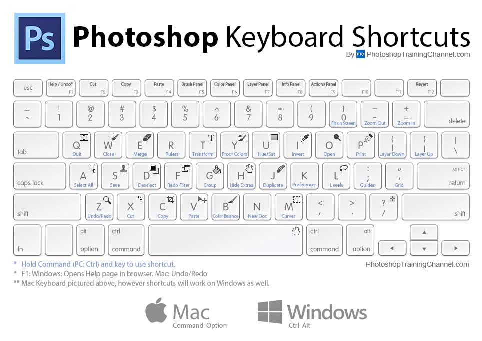 Photoshop 7.0 shortcut keys pdf in hindi